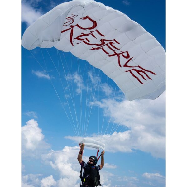 PD Reserve canopy - Image 2